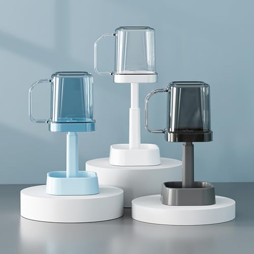 Premium Toothbrush Holder with Cup Divider