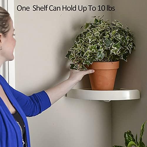 Wall-Mounted Showers Caddy